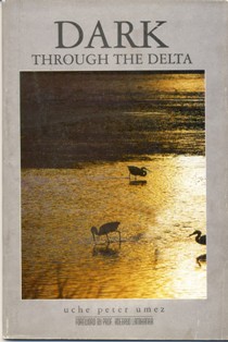 Dark thropugh the Delta, by Uche Peter Umez